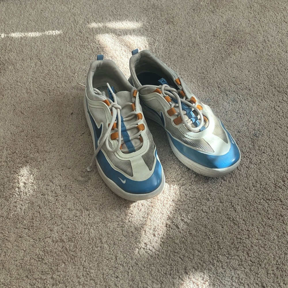 Nike Nyjah skate shoes